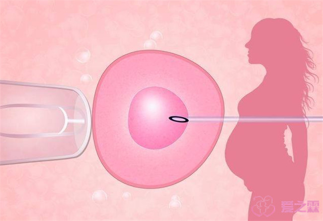 误区：供卵试管婴儿=人工制造？