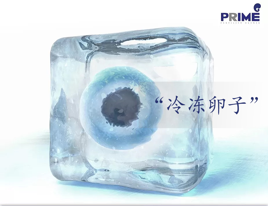 死精子可以用于供卵做试管婴儿吗？