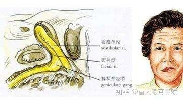 不孕不育的新选择,,台湾供卵代怀三代试管之父曾启瑞成立亚洲旗舰生育中心TFC