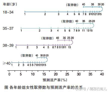 郑州第二附属医院借卵试管婴儿