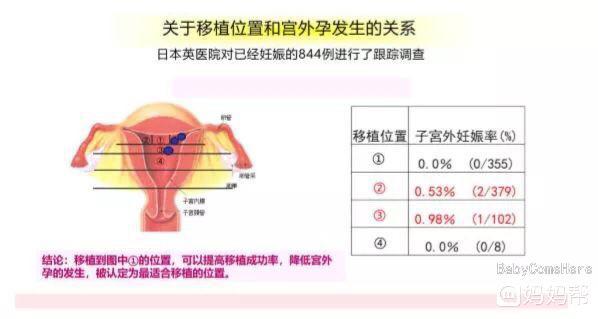 郑州赠卵试管婴儿费用大概要多少钱