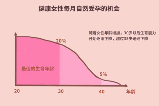 郑州做供卵试管婴儿成功率高吗