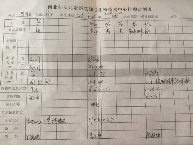 试管婴儿哪代成功率高