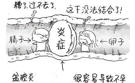 省人民医院做试管哪个专家好