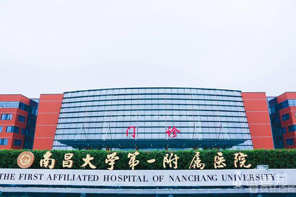试管代怀的价位跟人工受精哪个好