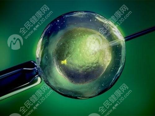 河南郑州一次试管代怀多少费用有哪些+国内代生供卵包性别