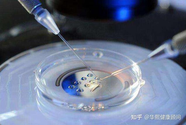 试管打安苏萌什么作用