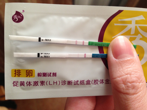 代生孩子合法公司进周条件,生男生女预测表