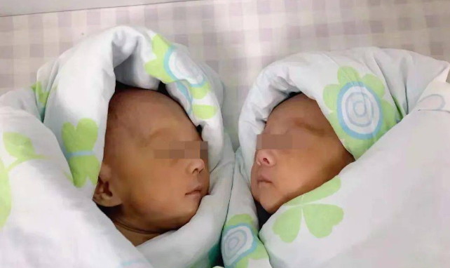 2024年起,试管代生孩子公司婴儿还需要再确认一个”证“!