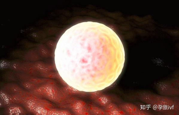 「医院导航」第三代去做代生男生女问题指南之郑州省妇幼保健院