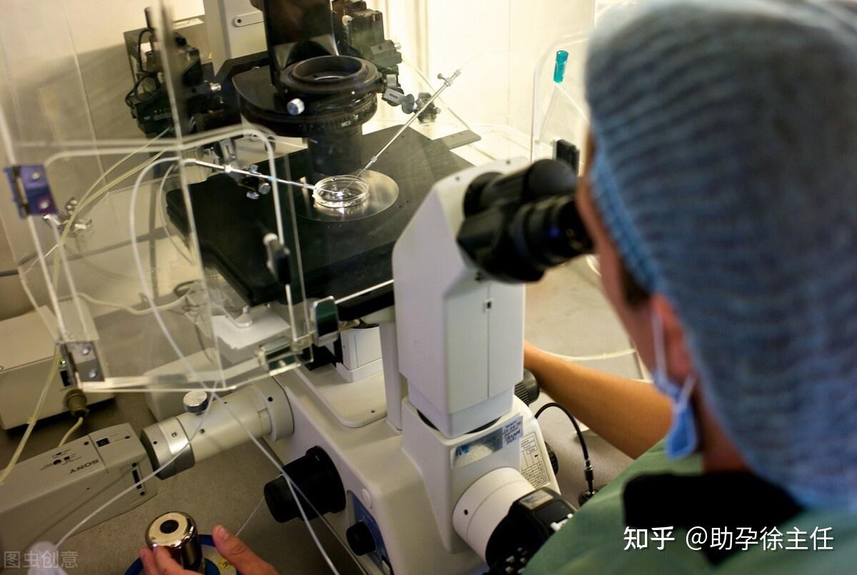 代生成功率做几次会成功2024年没有结婚证可以正规供卵代怀代生包男孩婴儿吗