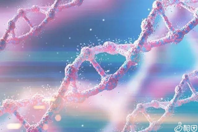 2024试管微刺激方案要多久有哪些优势