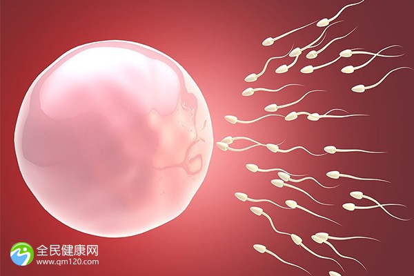 供精供卵试管医院多少钱价格